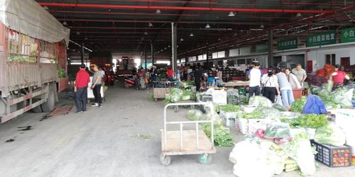 當好廣元人民的菜籃子，川陜甘農產品交易中心 從集散樞紐到研發引擎的蝶變