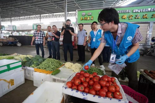 人大代表政協委員現場見證，食用農產品抽檢合格率百分百的背后