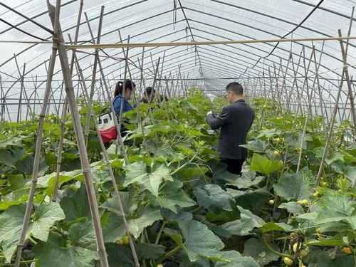 科技賦能，一碼溯源 食用農(nóng)產(chǎn)品的電子身份證時代